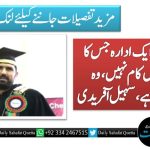 مسئلہ یہ ہے ایک ادارہ جس کا سیاست میں کام  نہیں، وہ سیاست کرتا ہے، سہیل آفریدی
