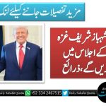 وزیراعظم شہبازشریف غزہ پیس بورڈ کے اجلاس میں شرکت کریں گے،ذرائع