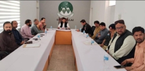 ضلع میں امن و امان کے قیام کے لیے تمام ادارے مشترکہ اقدامات کریں گے، محمد حسیب شجاع


