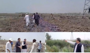 اندرون سندھ میں بجلی کی فراہمی مرحلہ وار بحال کی جا رہی ہے، انجینئر اعجاز احمد چنہ 