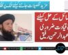 قومی مسائل کے حل کیلئے صالح قیادت ضروری ہے، عبدالرحمن رفیق