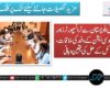 وزیراعلیٰ بلوچستان سے ٹرانسپورٹرز اور گڈز ایسوسی ایشن کے وفد کی ملاقات، مسائل کے حل کی یقین دہانی