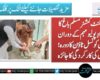 اسسٹنٹ کمشنر مسلم باغ کا انسدادِ پولیو مہم کے دوران یونین کونسل ٹاؤن کا دورہ؛ ٹیموں کی کارکردگی کا جائزہ