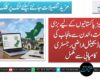 اوورسیز پاکستانیوں کے لیے بڑی سہولت، لندن سے پنجاب کی پہلی ڈیجیٹل اراضی رجسٹری کامیابی سے مکمل