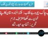 نقاب چاک، چہرہ بے نقاب: فتنہ الہندوستان کا اپنے ہی خون سے لکھا اعترافِ جرم