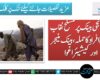 ہنگو؛ نجی بینک پر مسلح نقاب پوش افراد کا حملہ، بینک منیجر اور کیشیئر اغوا