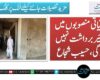 ترقیاتی منصوبوں میں تاخیر برداشت نہیں ہوگی، حسیب شجاع