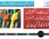 فیول ریلیف اسکیم میں 22 لاکھ افراد رجسٹرڈ، 19 لاکھ ٹوکن جاری