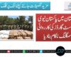 بلوچستان میں پاکستان نیوی اور کوسٹ گارڈز کی کارروائی اسمگلنگ ناکام بنادیا