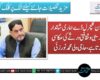 پشتون کلچرل ڈے ہماری شاندار تہذیبی و ثقافتی ورثے کی عکاسی کرتا ہے، حاجی ولی محمد نورزئی