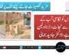 شہریوں کو نکاسی آب کے مسائل سے نجات دلانا اولین ترجیح ہے، ڈاکٹر جاوید جمالی