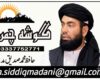 مصلحِ امت و مبلغِ اسلام مولانا محمد حنیفؒ شہید