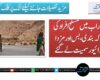 سوراب میں مسلح افراد کی ناکہ بندی، بس اور مزدا ڈرائیور سمیت لے گئے