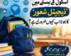 ​اسکول کے بستے میں ’ڈیجیٹل شعور‘ کا ہونا اب کیوں ضروری ہے؟