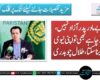 صوبے مادر پدر آزاد نہیں، سندھ چاہے بھی تو اپنی نیوی نہیں بنا سکتا، طلال چوہدری