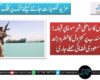 حوثیوں کا ساحلی شہر موخا پر قبضہ؛ باب المندب پر کنٹرول کا خطرہ بڑھ گیا، سعودی فضائی حملے جاری