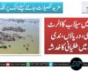 ملک میں سیلاب کا الرٹ جاری،  دریاؤں، ندی نالوں میں طغیانی کا خدشہ