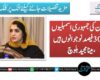 پاکستان کی جمہوری اسمبلیوں میں 30فیصد نوجوانوں ہیں ،مینا مجید بلوچ