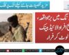 مستونگ میں بڑا واقعہ، مسلح افراد الائیڈ بینک لوٹ کر فرار