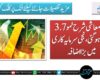 ملکی معاشی شرح نمو 3.7 فیصد ہوگئی، نجی سرمایہ کاری میں بڑا اضافہ