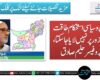 امن و سیاسی استحکام طاقت کے زور پر نہیں لایا جاسکتا، پروفیسر حلیم صادق