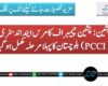 پشین : پشین چیمبر اف کامرس ایند اندسٹری ( PCCI ) بلوچستان کا پہلا مرحلہ مکمل ہوگیا