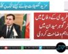 سہیل آفریدی کے دفاع میں بیرسٹر گوہر میدان میں آگئے، اہم وضاحت کردی