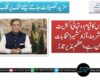 صوبوں کا قیام دو تہائی اکثریت سے مشروط، آزاد کشمیر انتخابات پرامن رہے: اعظم نذیر تارڑ