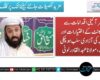 غیر آئینی اقدامات سے پارلیمنٹ کے اختیارات اور عدلیہ کی آزادی سلب ہو چکی ہے،مولانا عبدالقادر لونی