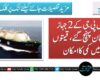 ایل پی جی کے 2 جہاز پاکستان پہنچ گئے، قیمتوں میں کمی کا امکان