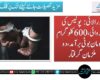 لورالائی: پولیس کی کارروائی، 600 کلوگرام اومان بوٹی برآمد، دو ملزمان گرفتار