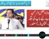 مولانا فضل الرحمن ہمارے لیے باپ کی جگہ ہیں، کیپٹن (ر) صفدر