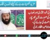 مدارس کی خودمختاری اور نصاب پر حملے کی صورت میں بھرپور مزاحمت کی جائے گی،مولانا عبدالقادر لونی