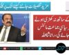 فورسز کے ساتھ نہ کھڑی ہونے والی ہر سیاسی جماعت مائنس ہوجائے گی، رانا ثنا اللہ