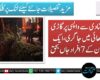مری؛ شادی سے واپسی پر گاڑی گہری کھائی میں جا گری، ایک ہی خاندان کے 7 افراد جاں بحق