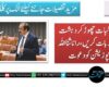 باقی مطالبات چھوڑ کر دہشت گردی پر بات کریں، رانا ثنااللہ کی اپوزیشن کو دعوت